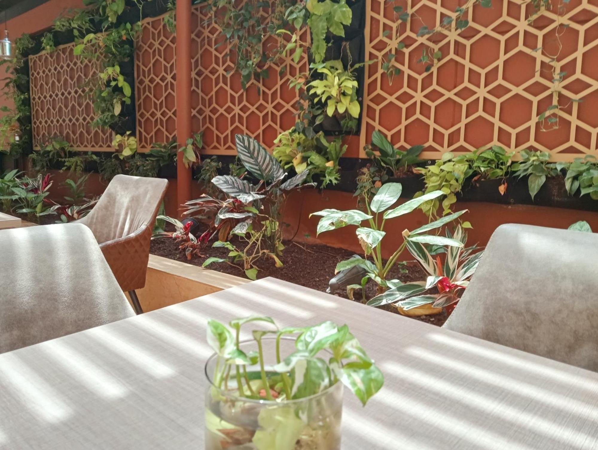 Hotel Lomas 10 Medellin By Dico ภายนอก รูปภาพ